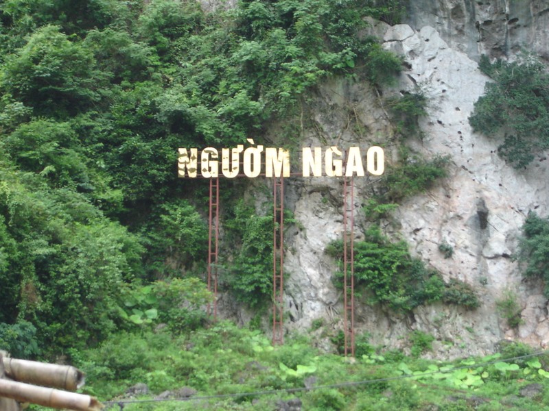 Kết quả hình ảnh cho động ngườm ngao
