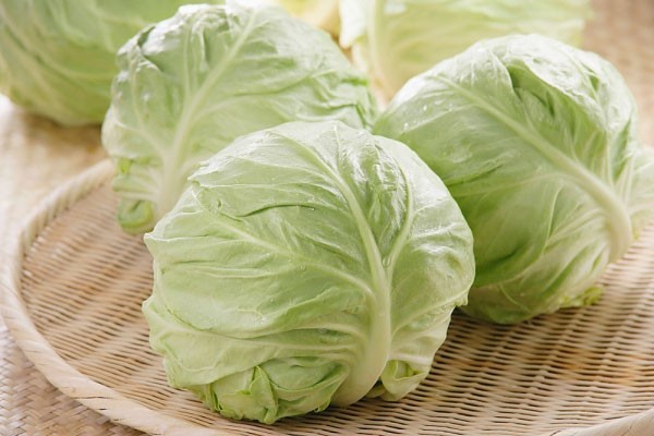 Kết quả hình ảnh cho Cải bắp