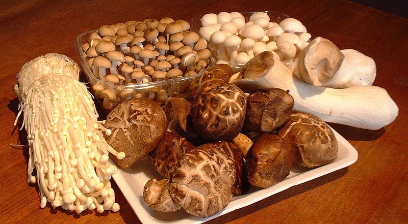 Kết quả hình ảnh cho nấm