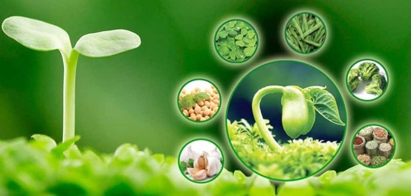 Ưu điểm của việc bổ sung nội tiết tố bằng tinh chất mầm đậu nành ảnh 1