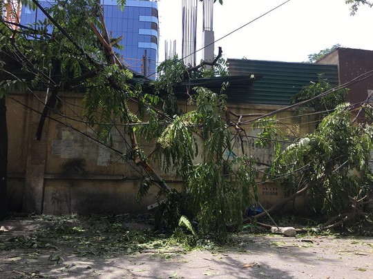 Đứt cáp công trình trên cao, 3 người bị thương nặng - Ảnh 3. Đứt cáp công trình trên cao, 3 người bị thương nặng - Ảnh 3.