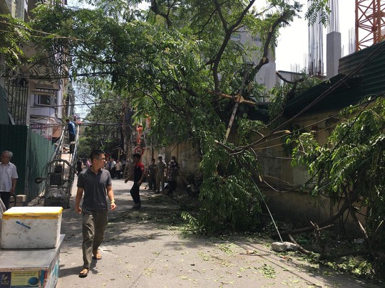 Đứt cáp công trình trên cao, 3 người bị thương nặng - Ảnh 1. Đứt cáp công trình trên cao, 3 người bị thương nặng - Ảnh 1.