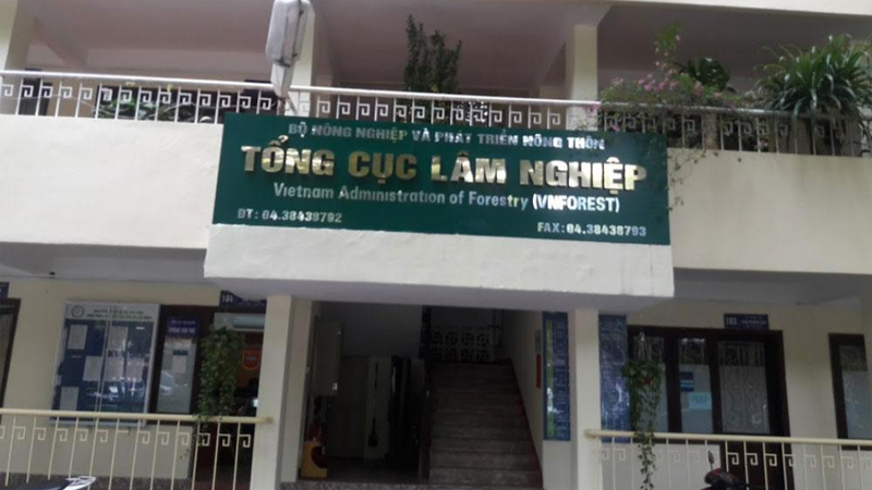 Dự kiến Tổng cục Lâm nghiệp sẽ được sắp xếp lại thành 2 Cục thuộc Bộ NN&PTNT.