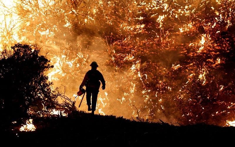Cháy rừng quốc gia Eldorado ở bang California (Hoa Kỳ) vào tháng 8/2021. Ảnh: Reuters. 