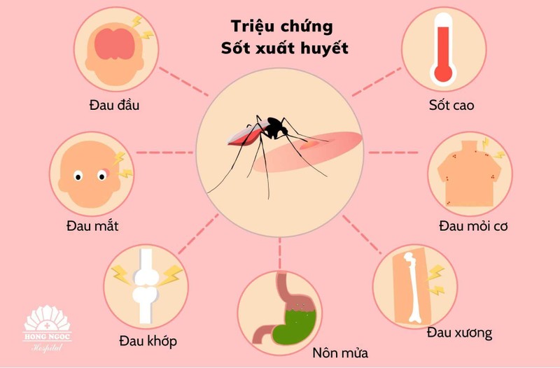 Nhanh chóng kiểm soát dịch sốt xuất huyết ở nhiều tỉnh, thành