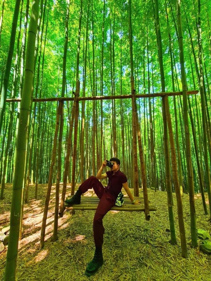 Phát hiện rừng trúc kỳ vĩ đẹp hơn cả cảnh phim kiếm hiệp ngay tại Việt Nam ảnh 11