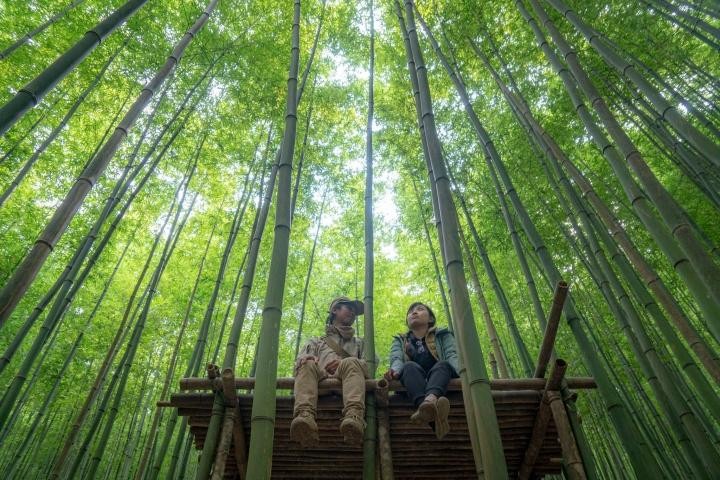 Phát hiện rừng trúc kỳ vĩ đẹp hơn cả cảnh phim kiếm hiệp ngay tại Việt Nam ảnh 5