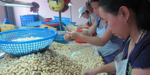 Nhiều cơ quan, doanh nghiệp đang bức xúc về thủ tục kiểm dịch hàng hóa xuất nhập khẩu