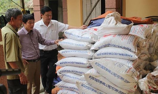 Ảnh chỉ có tính chất minh họa