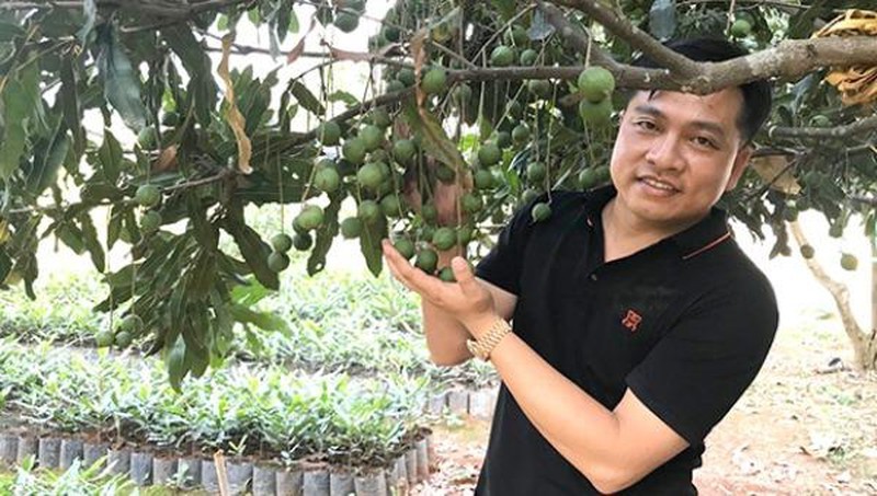 'Cuộc hôn nhân' giữa 'vương mộc' và 'nữ hoàng các loại hạt'