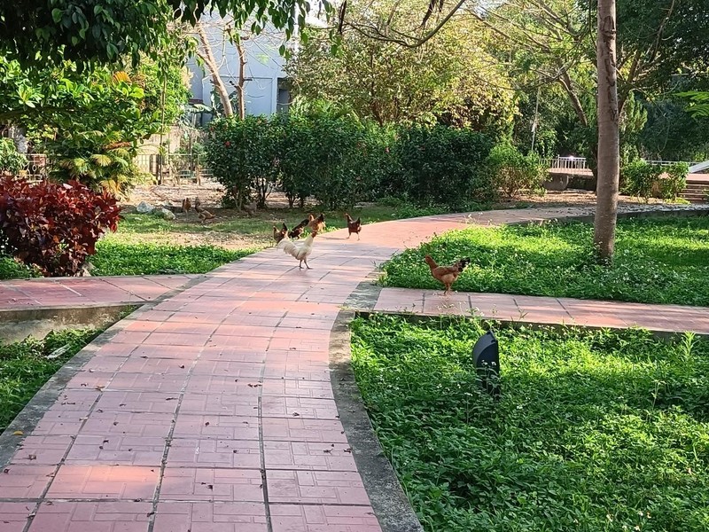 Công viên bị “lãng quên” giữa trung tâm TP Điện Biên Phủ ảnh 2