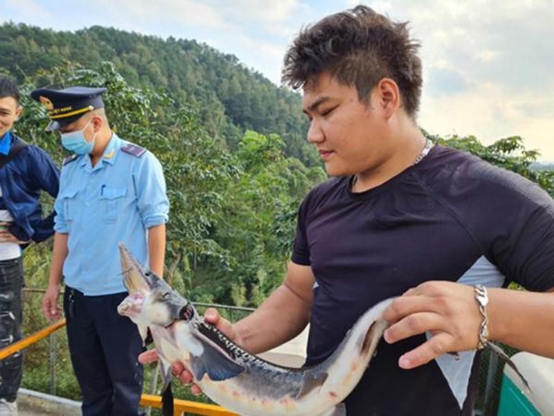 Lực lượng chức năng kiểm tra cá tầm nhập khẩu vào Việt Nam.

