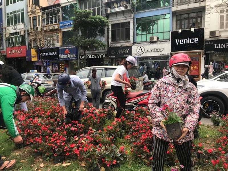 Hôi hoa trên đường Kim Mã tạo nên một ấn tượng xấu về người Việt