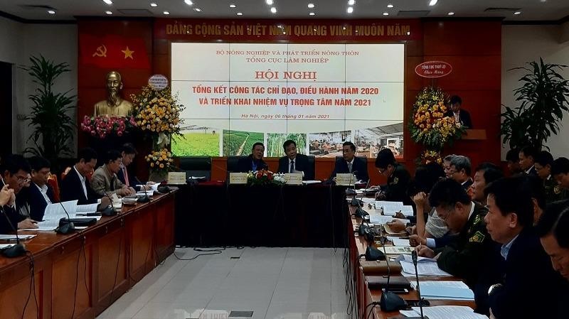 Bộ trưởng NN&PTNT Nguyễn Xuân Cường: Chưa yên tâm về tỷ lệ che phủ rừng!
