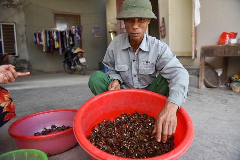 Câu con lộc trời cho: nông dân Hải Dương kiếm nửa triệu đồng mỗi ngày - 21 Câu con lộc trời cho: nông dân Hải Dương kiếm nửa triệu đồng mỗi ngày - 21