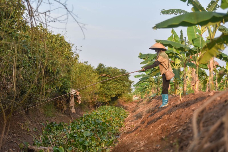 Câu con lộc trời cho: nông dân Hải Dương kiếm nửa triệu đồng mỗi ngày - 1 Câu con lộc trời cho: nông dân Hải Dương kiếm nửa triệu đồng mỗi ngày - 1