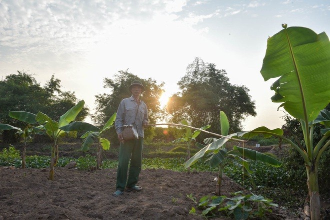 Câu con lộc trời cho: nông dân Hải Dương kiếm nửa triệu đồng mỗi ngày - 9 Câu con lộc trời cho: nông dân Hải Dương kiếm nửa triệu đồng mỗi ngày - 9