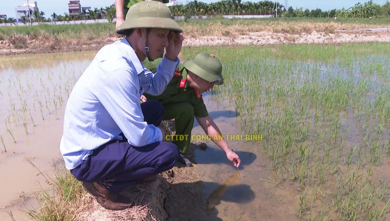 Khu ruộng nơi ông Bùi Văn Sơn gặp nạn. Ảnh: Công an tỉnh Thái Bình.