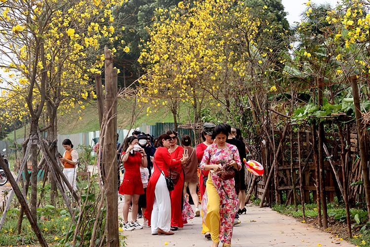 Chị em 'đổ xô' check-in đường hoa phong linh mới khi địa điểm cũ đóng cửa ảnh 2