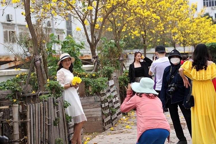 Chị em 'đổ xô' check-in đường hoa phong linh mới khi địa điểm cũ đóng cửa ảnh 7