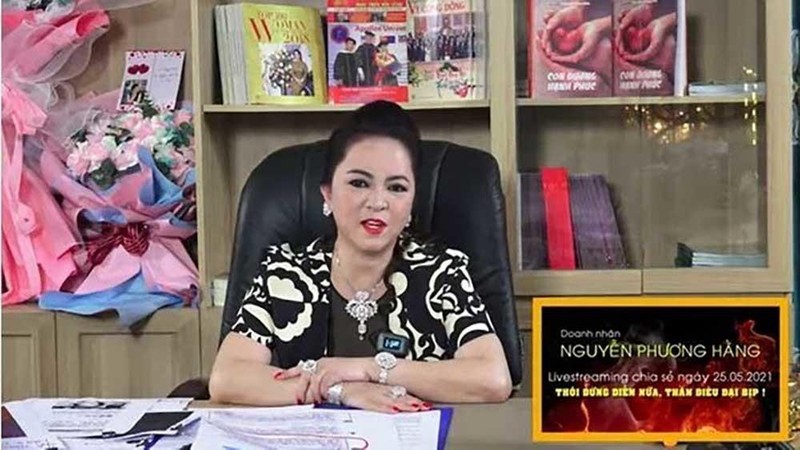 Bà Nguyễn Phương Hằng bị khởi tố, bắt giam từ đơn tố cáo của ai? ảnh 1