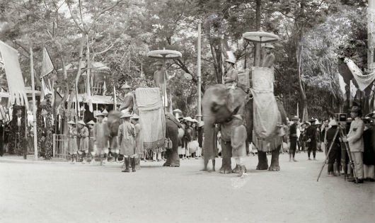 Lực lượng tượng binh trong lễ tế Nam Giao năm 1924
