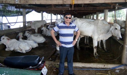 Người chăn bò Hà Văn Thắng hẳn sẽ còn trăn trở rất nhiều...