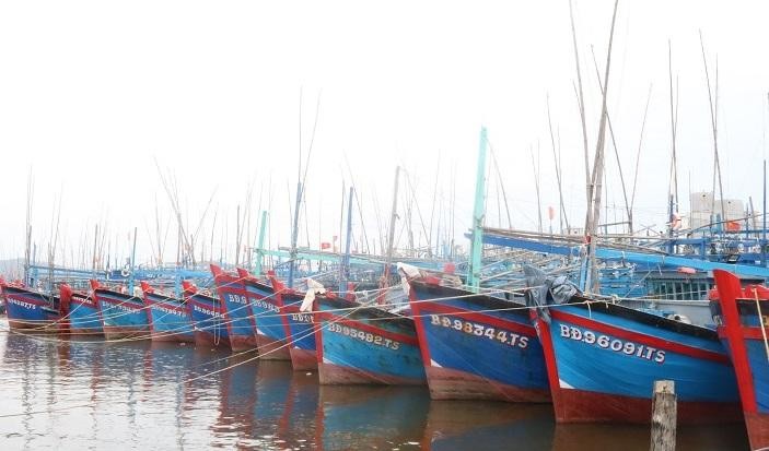Bình Định 'siết' xử lý vi phạm quy định về vùng khai thác hải sản trên biển