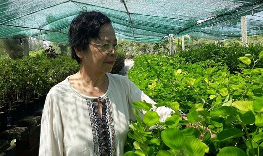 “Bà tiên dược liệu”- Lê Thị Tuyết Anh.