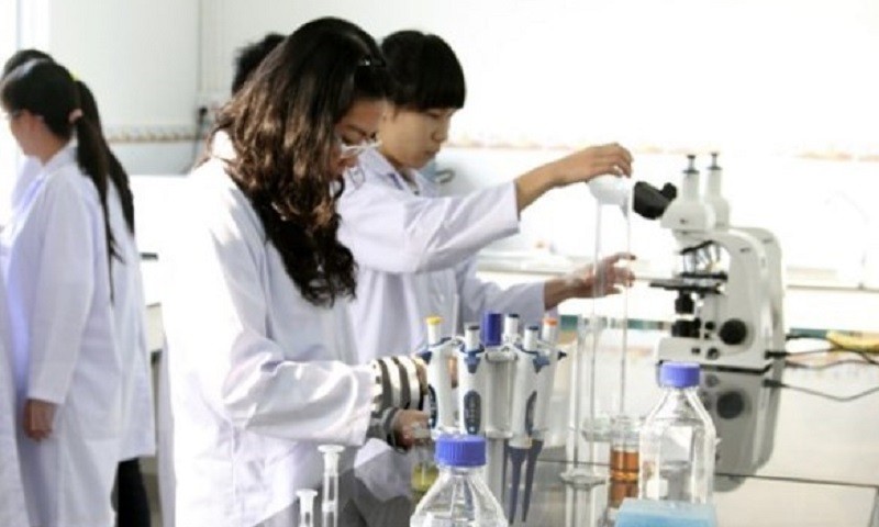 Dự thảo thống nhất nhận thức nhân tài là nguồn lực quan trọng nhất để phát triển đất nước hùng cường. (Ảnh minh họa)