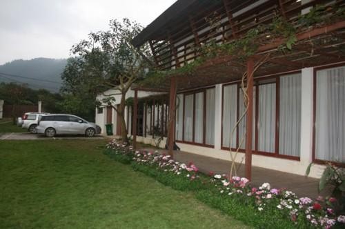Chiêm ngưỡng biệt thự triệu đô xanh mát của gia đình ca sĩ Mỹ Linh ảnh 6