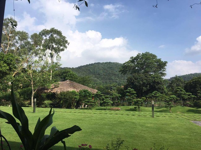 Chiêm ngưỡng biệt thự triệu đô xanh mát của gia đình ca sĩ Mỹ Linh ảnh 3