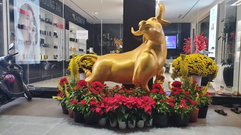 Biệt thự bạc tỷ có thang máy của Việt Hương tại TP HCM ảnh 2