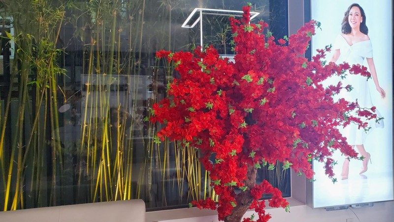 Biệt thự bạc tỷ có thang máy của Việt Hương tại TP HCM ảnh 3