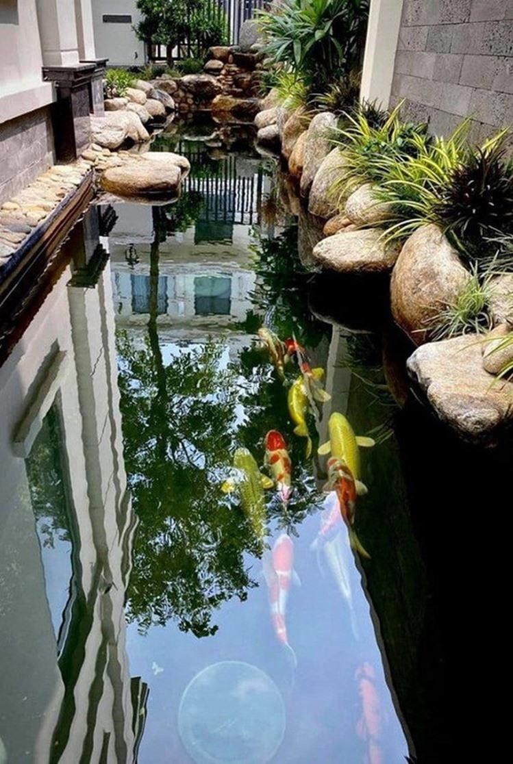 Căn biệt thự sang trọng, có hồ cá koi rộng lớn của Thanh Vân Hugo ảnh 8