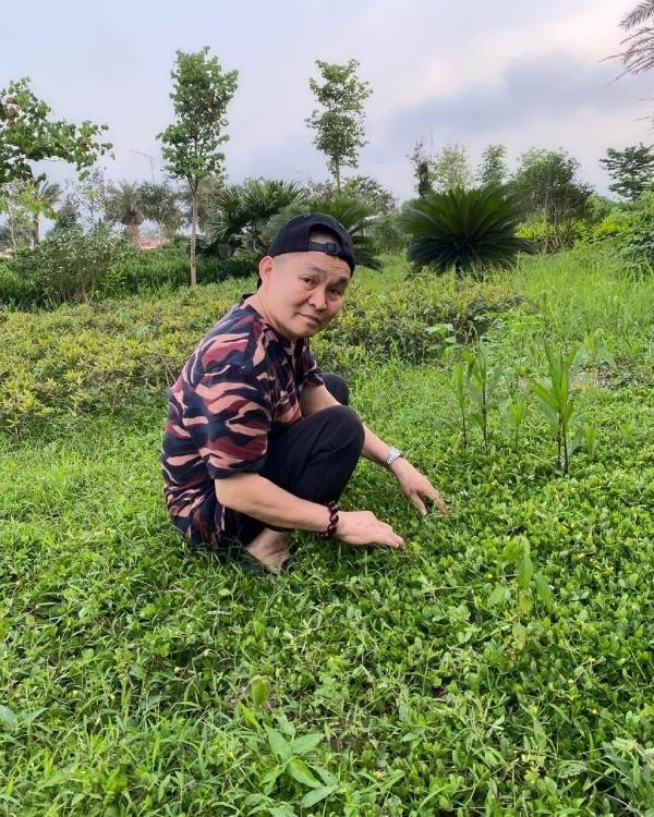 Cuộc sống hiện tại của nghệ sĩ Xuân Hinh: Về quê nuôi cá và trồng thêm rau ảnh 1