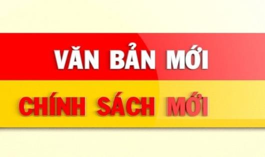 Chính sách nổi bật có hiệu lực từ giữa tháng 6