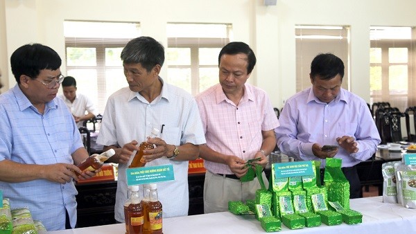 Hội đồng đánh giá thẩm tra bao bì và thông tin về sản phẩm.