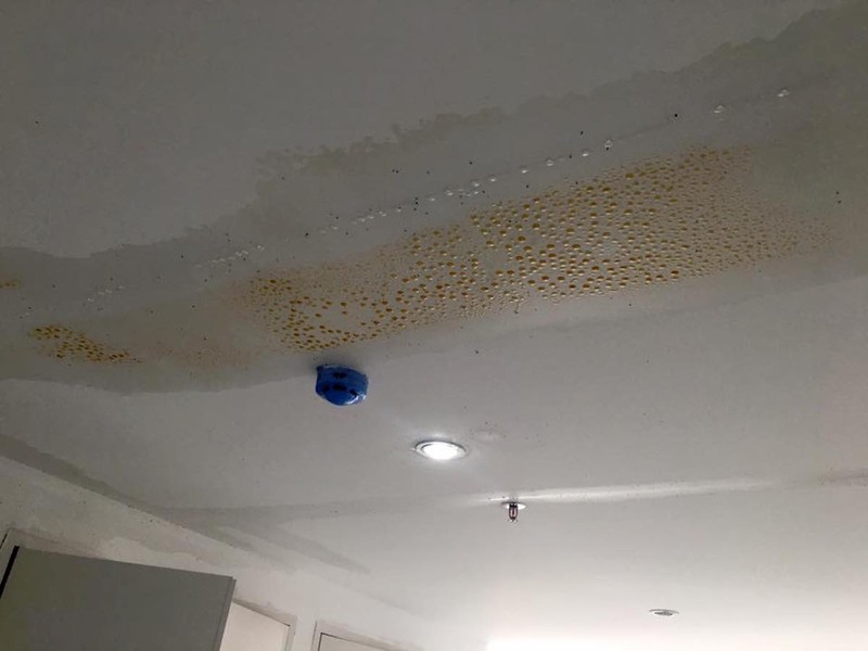 Trần nhà mới đưa vào sử dụng nhưng đã thấm nước