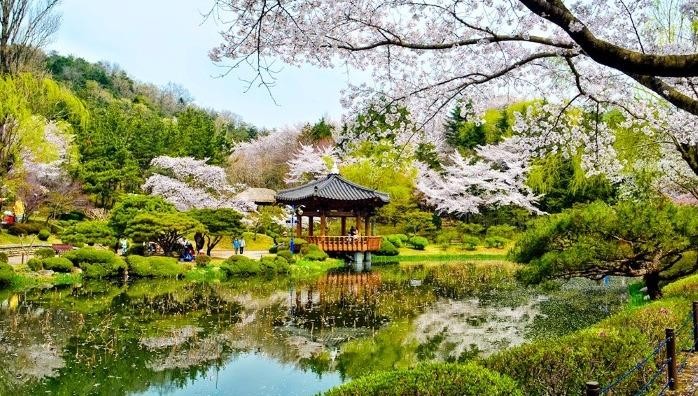 Đối với những ai yêu thiên nhiên, muốn thả mình vào một không gian tươi mát, được ngắm những thảm thực vật phong phú thì công viên Dương Minh Sơn tại Đài Loan là một điểm đến mà bạn không nên bỏ qua.
