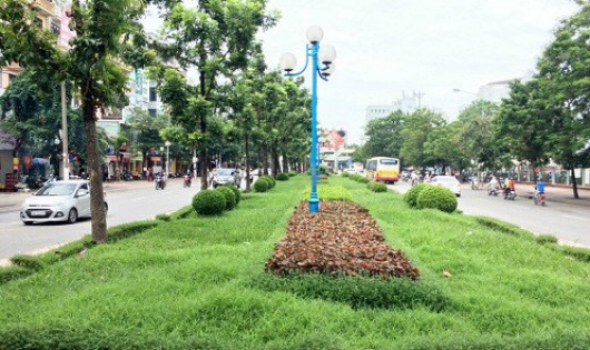 UBND TP Hà Nội đang chỉ đạo các cơ quan chức năng làm rõ nguyên nhân xảy ra cháy cây cảnh, thảm cỏ trên một số vườn hoa, dải phân cách trên địa bàn Thành phố.