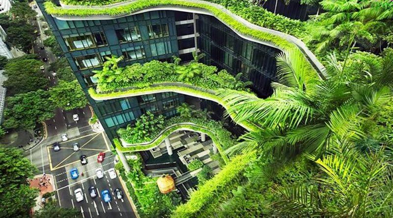 Các nhà lãnh đạo APEC đang đoàn kết vượt qua mọi khác biệt, đi đầu dẫn dắt các nỗ lực gìn giữ môi trường sống an nhiên, phát triển bền vững. Ảnh minh họa