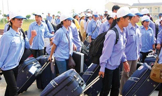 (Hình minh họa)