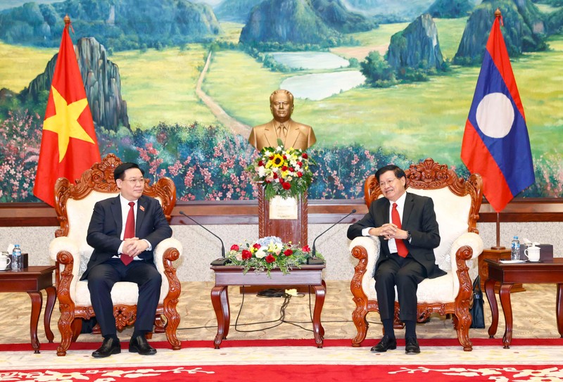 Chủ tịch Quốc hội Vương Đình Huệ chào xã giao Tổng Bí thư, Chủ tịch nước Lào ảnh 1