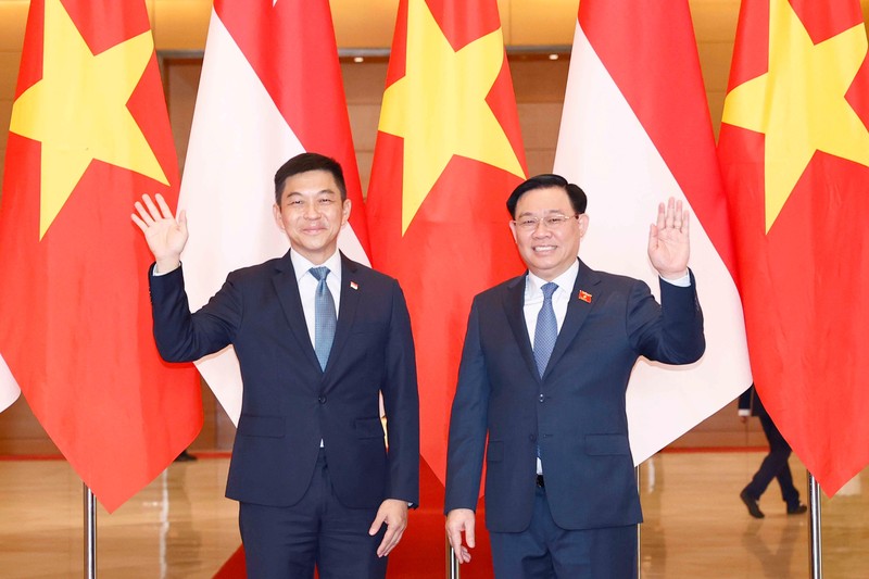 Singapore là đối tác quan trọng hàng đầu của Việt Nam trong khu vực ảnh 1