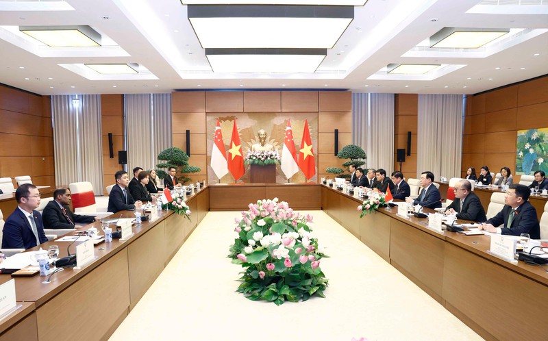 Singapore là đối tác quan trọng hàng đầu của Việt Nam trong khu vực ảnh 2