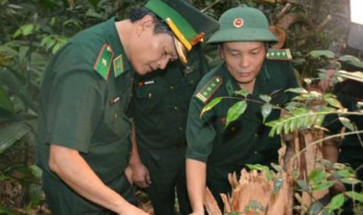 Hiện trường vụ tàn phá rừng tại khu vực cửa khẩu biên giới Nam Giang
