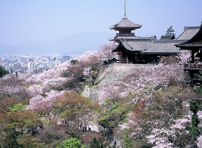 Sự phát triển thần kỳ của du lịch Nhật Bản ảnh 4