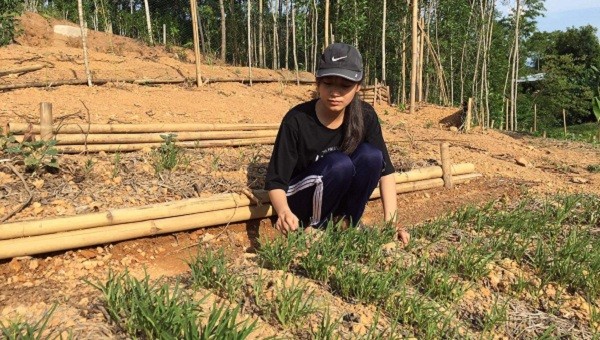 Nhung bên vườn rau - nguồn sống chính của ba mẹ con.