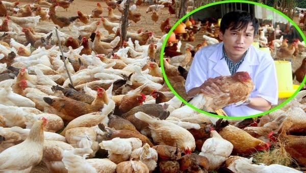 Anh Lê Văn Dương bên trang trại gà sạch nuôi bằng thảo dược